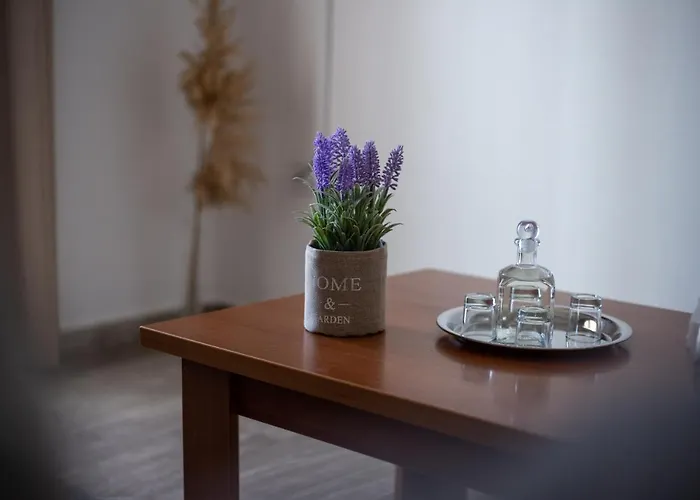 Virginia's House Appartement